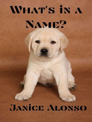 cover image of What's in a Name?